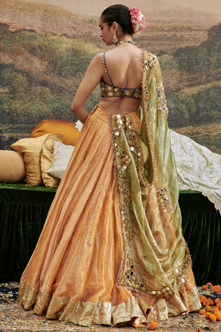 Orange ina sheesh naach lehenga set