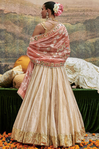 Beige svet gulal naach lehenga set