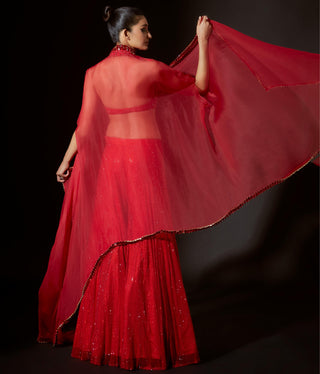 Red vibrant jewel titi sharara set