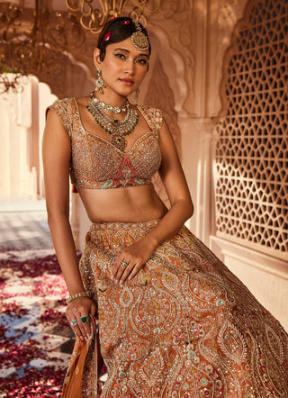 Meghna rust embellished lehenga set