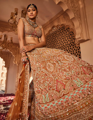 Meghna rust embellished lehenga set