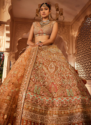 Meghna rust embellished lehenga set