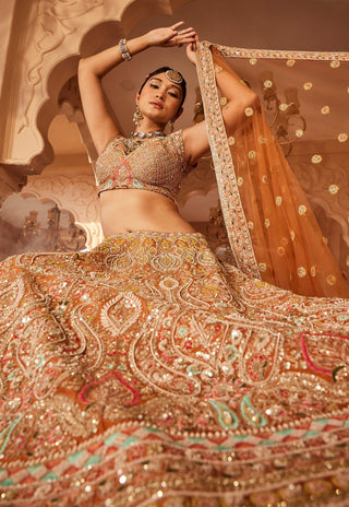 Meghna rust embellished lehenga set