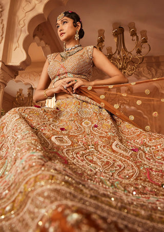 Meghna rust embellished lehenga set