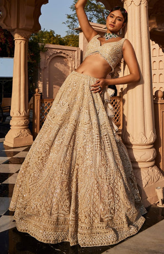 Vanya ivory embroidered lehenga set