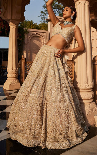 Vanya ivory embroidered lehenga set