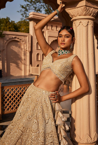 Vanya ivory embroidered lehenga set