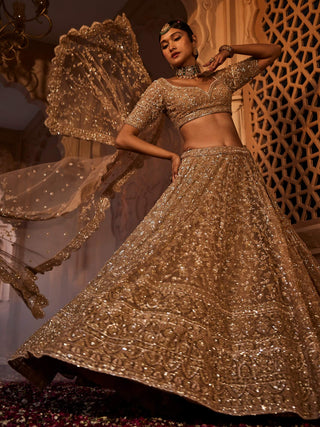 Zarin gold organza lehenga set