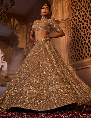 Zarin gold organza lehenga set