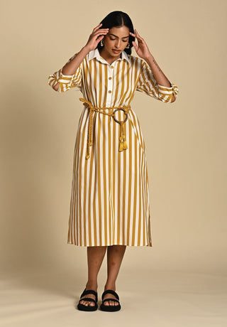 Wiona mustard stripe dress