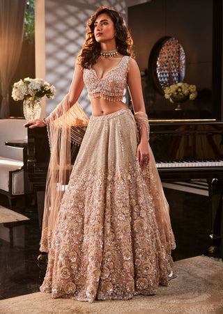 Gray sparkle peach lehenga set