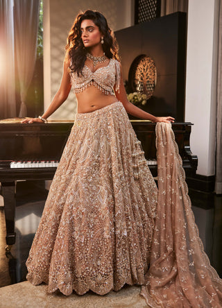 Pretty peach gold lehenga set