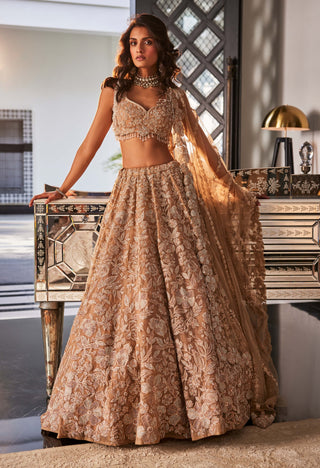 Midaas gold lehenga set