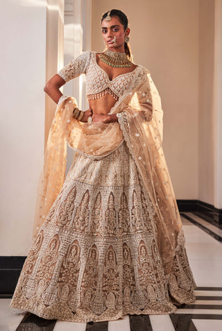 Avni peach organza lehenga set