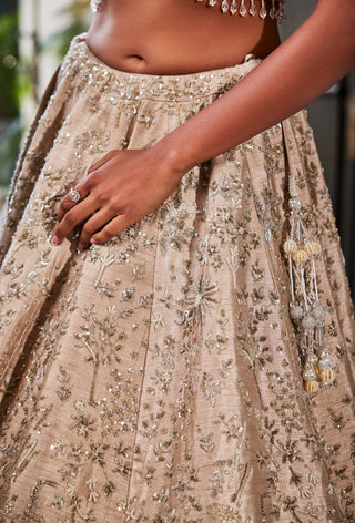 Bouquet gray lehenga set