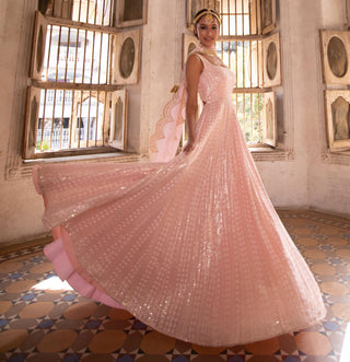 Champagne blush anarkali gown set