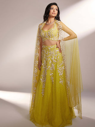 Iris lime yellow lehenga set