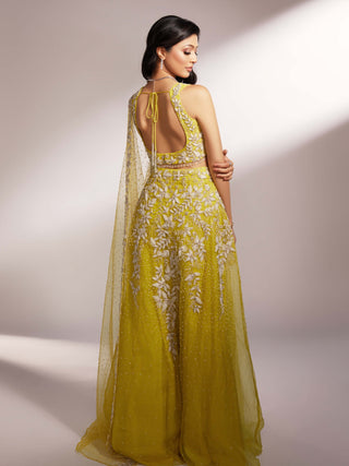 Iris lime yellow lehenga set