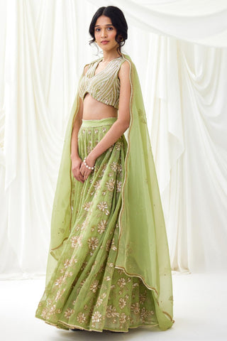 Green embroidered organza lehenga set with wave blouse