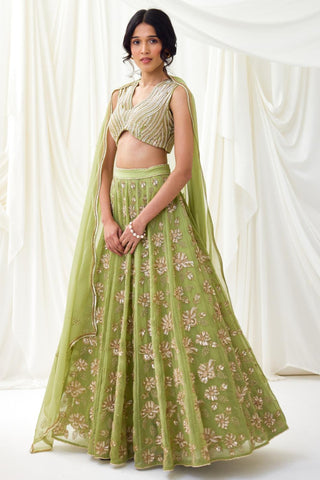 Green embroidered organza lehenga set with wave blouse