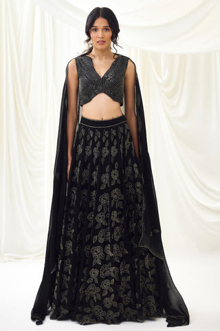 Black embroidered organza lehenga set with wave blouse