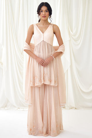 Blush sharara set with sequin bodice and beaded organza panels