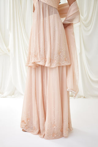 Blush sharara set with sequin bodice and beaded organza panels