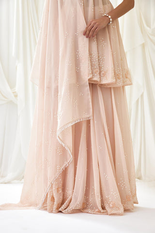 Blush sharara set with sequin bodice and beaded organza panels