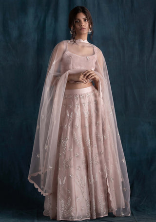 Pale blush pink lehenga set