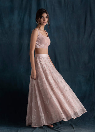 Pale blush pink lehenga set