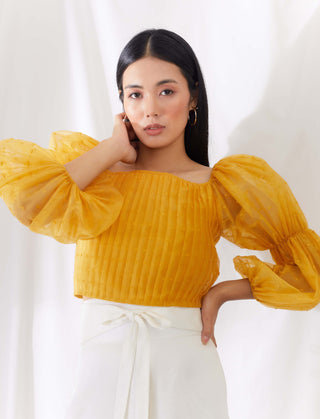 Sunkissed billow sleeve top