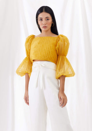 Sunkissed billow sleeve top