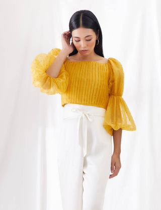 Sunkissed billow sleeve top