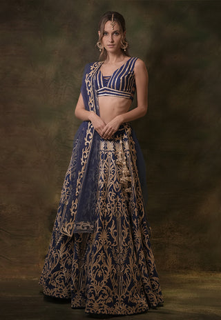 Electrical blue gota lehenga set