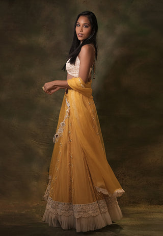 Sunshine mirror lehenga set