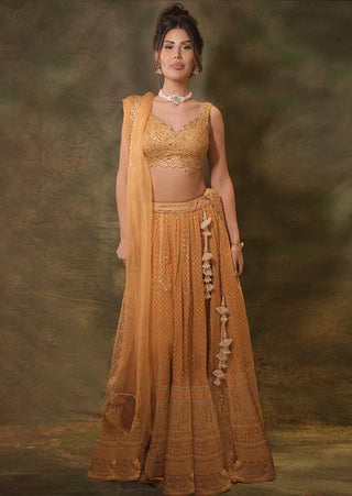 Mustard lucknowi lehenga set