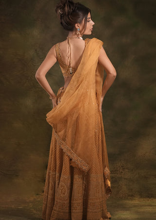 Mustard lucknowi lehenga set