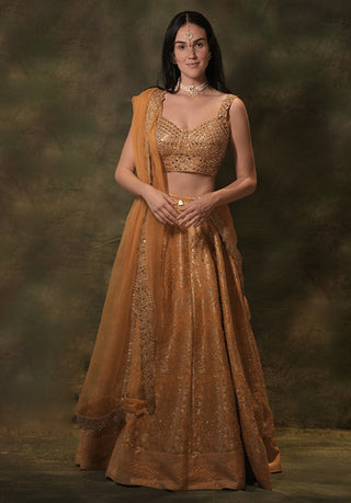 Anant embellished mustard lehenga set