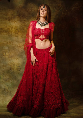 Red elegant lehenga set