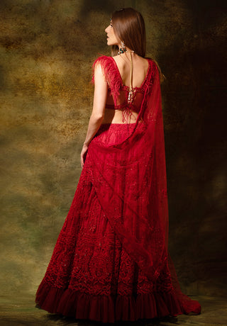 Red elegant lehenga set