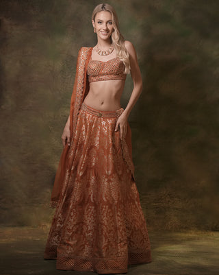 Orange anant naraange lehenga set