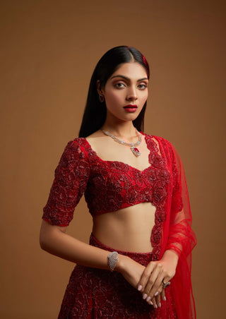 Kresta red lehenga set