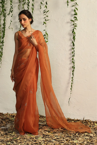 Orange organza nakshi saree with blouse