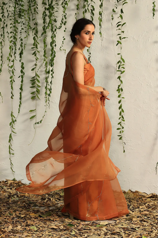 Orange organza nakshi saree with blouse