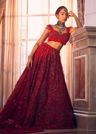 Merlin rose embroidered lehenga set