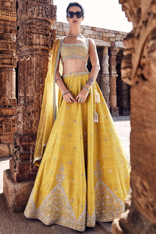 Yellow royal pyramid turmeric lehenga set