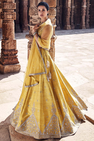 Yellow royal pyramid turmeric lehenga set