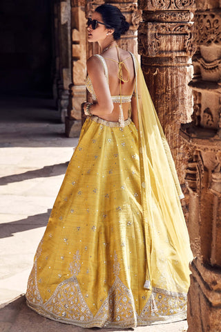 Yellow royal pyramid turmeric lehenga set