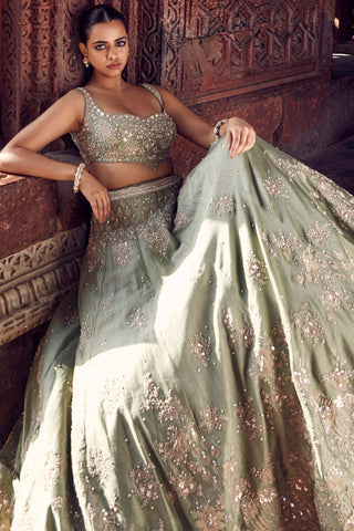 Sona patti jade bow lehenga set