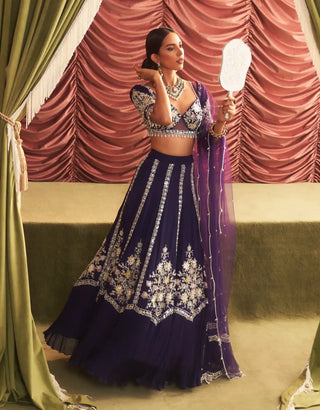 Rani purple embellished lehenga set